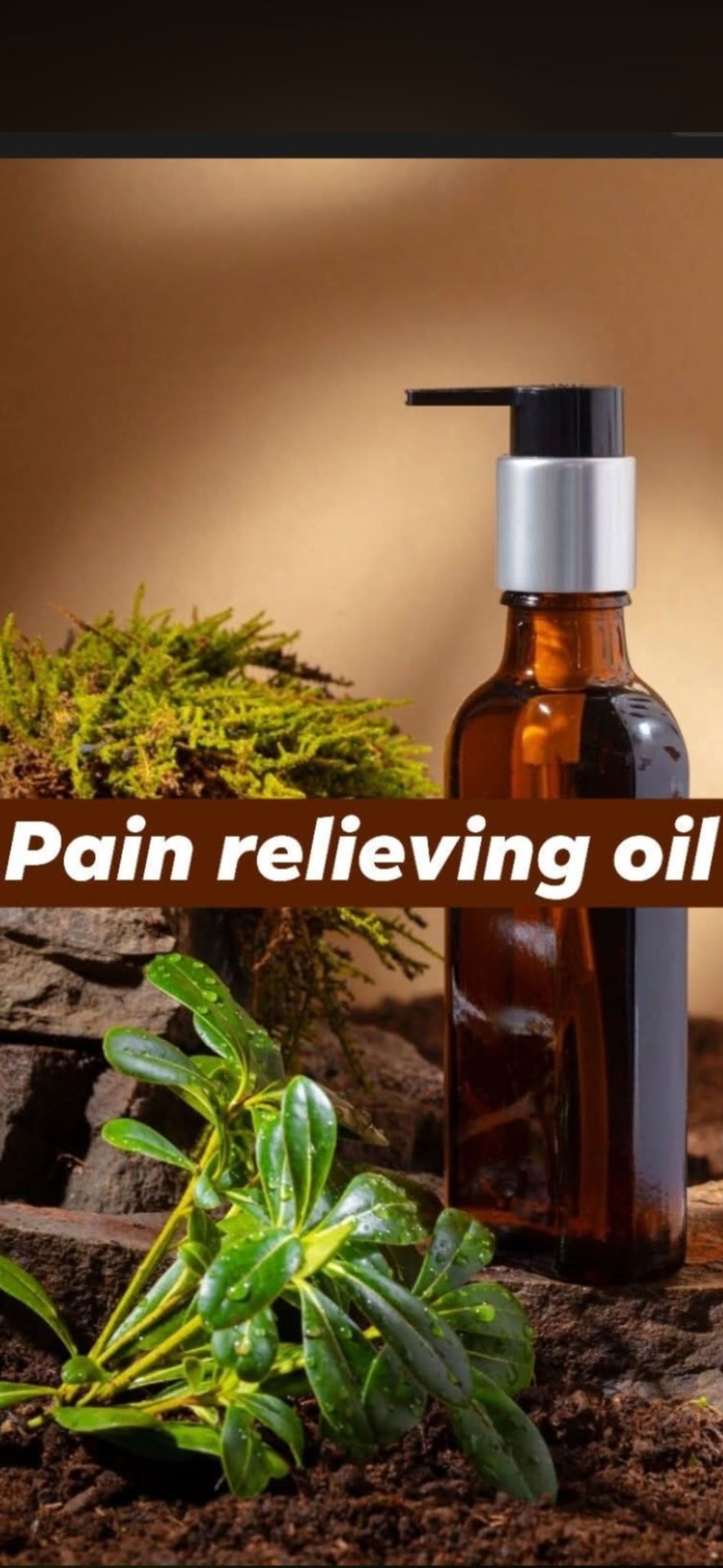 6 oz amber pump bottle of pain relieving oil surrounded by fresh greenery